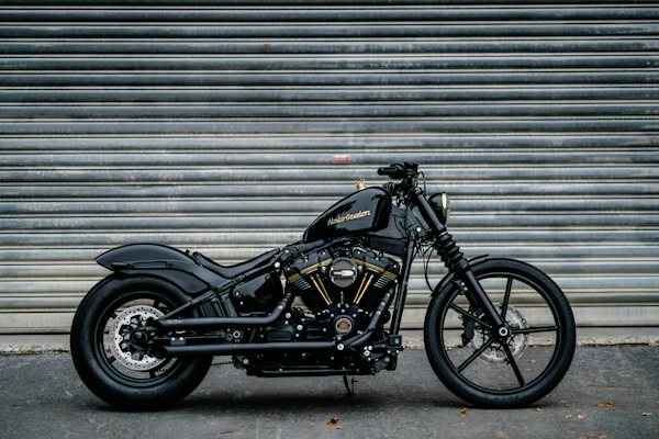 Black and gold Harley-Davidson